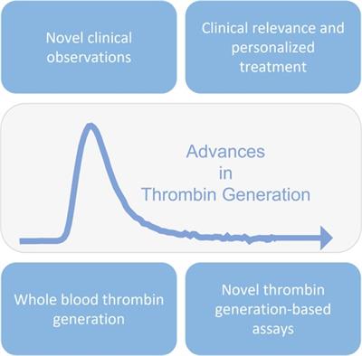 Editorial: Advances in thrombin generation